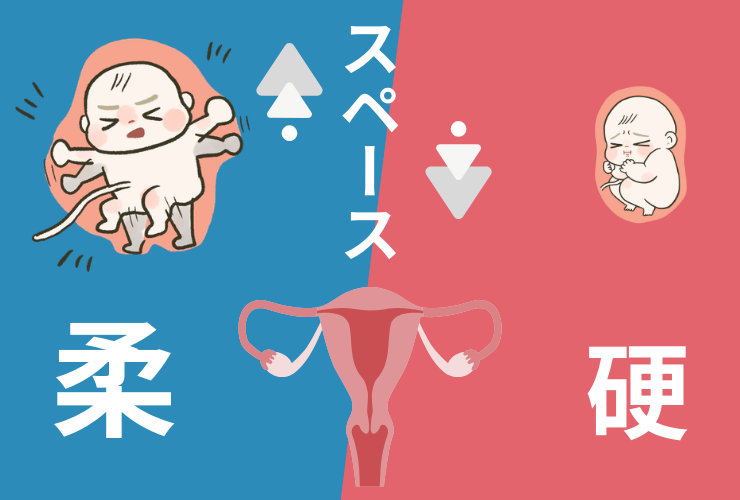 子宮の柔らかさとスペースの関係